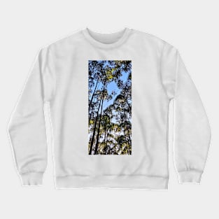 Tall Trees Crewneck Sweatshirt